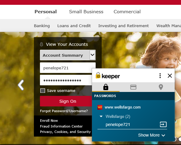 keeper password manager google chrome extension