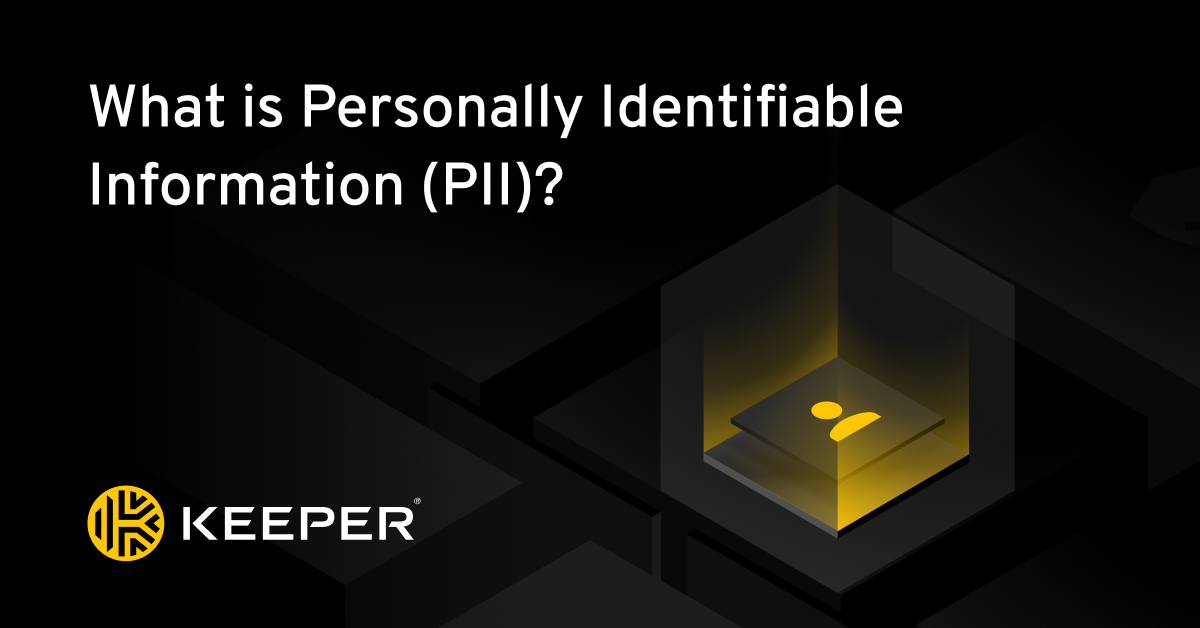 What Is Personally Identifiable Information (PII)? Types And Examples